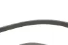 Комплект з пасом натяжник Audi A6 50TDI 17- INA 529 0574 10 (фото 7)