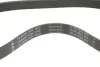Комплект ременя генератора Citroen Berlingo/Peugeot Partner 1.6 HDi 10- (6PK1020) INA 529 0578 10 (фото 3)
