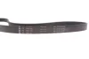 Комплект ременя генератора BMW M3 (G20/G80/G28)/X3 M (G01/F97/G09)/X4 M (G02/F98) 19- S58B30 INA 529059510 (фото 9)