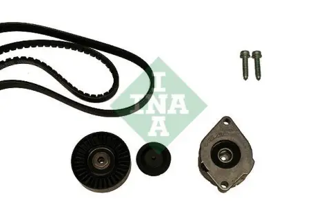 Поликлиновой ременный комплект INA 530039810