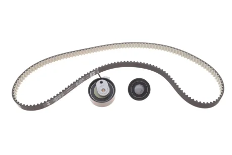 Комплект ГРМ Volvo XC40 T2/T3/T4/T5 Plug-in Hybrid, 18-, (B3154) INA 530094710
