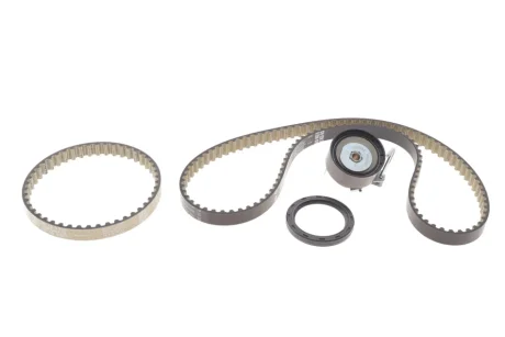 Комплект ГРМ (ремінь + ролик) з ущільненнями FORD B-MAX, C-MAX II, ECOSPORT, FIESTA VI, FIESTA VII, FOCUS III, FOCUS IV, GRAND C-MAX, MONDEO V, TOURNEO CONNECT V408 NADWOZIE WIELKO 1.0-2.0 02.12- INA 530096010
