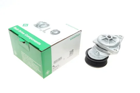 Натяжник ременя генератора Ford Transit Connect 1.8 16V 02-13 INA 534013020