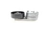 Натяжник ременя генератора Land Rover Discovery IV/Range Rover 3.0D 09-18 INA 534 0358 10 (фото 7)