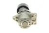 Натяжник ременя генератора Citroen C4/C5/Peugeot Expert 2.0 HDi 09- INA 534 0658 10 (фото 3)