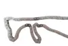 Комплект ланцюга ГРМ Ford Mondeo 2.0/2.2TDCi 00-07/Transit 2.0DI/TDCi 00-06 75/86/100/125kw INA 559 1815 30 (фото 3)