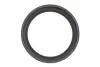 Комплект ланцюга ГРМ BMW X3 (E83)/3 (E46/E90) (N42B20/N46B20) 98-13 INA 559 1819 40 (фото 10)