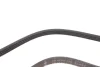Ремінь генератора Smart Fortwo (451) 1.0/Turbo 07- (+AC) INA FB4EPK738 (фото 3)