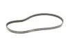 Ремінь генератора Honda Civic VI/Nissan Primera/Citroen Berlingo 1.4-1.6 16V 94-05 (4PK800) INA FB4PK800 (фото 2)