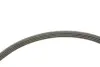 Ремінь генератора Honda Civic VI/Nissan Primera/Citroen Berlingo 1.4-1.6 16V 94-05 (4PK800) INA FB4PK800 (фото 3)