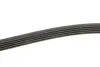 Ремінь генератора Mazda 323/626/ Opel Astra G/Vectra B/C 2.0/2.2 00-08 INA FB5PK1030 (фото 3)