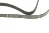 Ремінь генератора Mazda 323/626/ Opel Astra G/Vectra B/C 2.0/2.2 00-08 INA FB5PK1030 (фото 4)