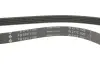 Ремінь генератора Citroen/Fiat (5PK1190) INA FB5PK1190 (фото 4)