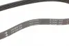 Ремінь генератора Land Rover Freelander 1.8 16V 00-06 INA FB 5PK736 (фото 3)