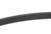 Ремінь генератора BMW 5 (E39) 520i/523i/528i 90-/Hyundai XG 3.0-3.5 98-05/Mitsubishi Colt 1.5 05-12 INA FB5PK906 (фото 2)