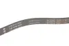 Ремінь генератора BMW 5 (E39) 520i/523i/528i 90-/Hyundai XG 3.0-3.5 98-05/Mitsubishi Colt 1.5 05-12 INA FB5PK906 (фото 3)