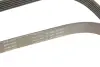 Ремінь генератора Opel Astra 1.7CDTi 03-/Renault Megane/Laguna 1.9-3.0 97-03/BMW 1 (E81/E87) 04-11 INA FB6PK1605 (фото 4)