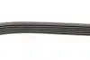 Ремінь генератора Opel Combo/Astra/Vectra/Omega 1.2-2.2 91-03/BMW 1 (E81/E87) 2.0D 04-11 INA FB6PK1800 (фото 2)