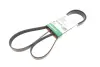 Ремінь генератора Land Rover Discovery/Range Rover 2.0/3.0 D 12- INA FB 6PK1935
