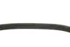 Ремінь генератора VW Polo/Skoda Fabia 1.9SDI/TDI 01-12 (6PK780) INA FB6PK780 (фото 3)