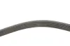 Ремінь генератора Toyota Camry/Avensis/RAV4 2.0/2.4 00-/Land Cruiser Prado 3.0D 00- INA FB7PK1933 (фото 3)