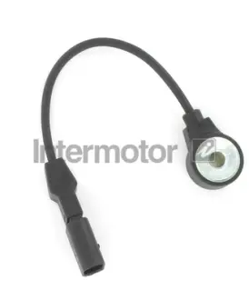 Ignition knock sensor. Датчик детонации INTERMOTOR 19548