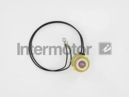 Stop solenoid. Клапан электромагнитный INTERMOTOR 89759