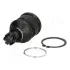 MAZDA кульова опора лів./прав.929 81- JAPANPARTS BJ319 (фото 1)
