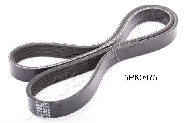 Поликлиновой ремень JAPANPARTS DV5PK0975 (фото 1)