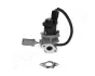 Клапан повернення О.Г. FORD FOCUS II 1.6 TDCi JAPANPARTS EGR0301 (фото 3)