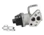 FORD клапан EGR Focus,Mondeo I,II,III 2.0 93- JAPANPARTS EGR0307 (фото 1)
