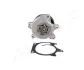 NISSAN помпа води Juke, Qashqai, X-Trail 1,6-2.0 10- JAPANPARTS PQ100 (фото 1)