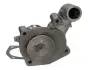 FORD помпа води Escort,Fiesta 1,8D /18D/ 89- JAPANPARTS PQ333 (фото 2)