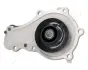 CITROEN помпа води Berlingo, C2, C3, C4 1.6HDI, FIAT Scudo, FORD Fiesta, Focus 1.6TDCI JAPANPARTS PQ339 (фото 2)