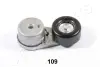 Натяжная планка, поликлиновой ремень JAPANPARTS TS109 (фото 1)