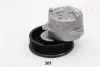 Натяжная планка, поликлиновой ремень JAPANPARTS TS301 (фото 2)