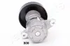 Натяжная планка, поликлиновой ремень JAPANPARTS TS800 (фото 2)