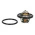 FORD термостат з прокладкою t-82C Fiesta V 01-, Focus || 04-, Mazda 2 03- JAPANPARTS VT316 (фото 1)