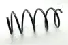 Пружина, ходова частина JAPANPARTS ZC1022G (фото 1)