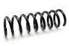 Пружина, ходова частина JAPANPARTS ZC1468A (фото 1)