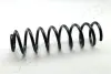 Пружина, ходова частина JAPANPARTS ZC3160G (фото 1)