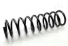 Пружина, ходова частина JAPANPARTS ZC5569A (фото 1)