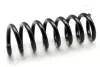 Пружина, ходова частина JAPANPARTS ZC6676A (фото 1)
