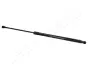 Газовий амортизатор RENAULT LAGUNA III GRANDTOUR JAPANPARTS ZS07029 (фото 1)