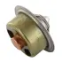 Thermostat, cooling system. Термостат, система охлаждения JOHN DEERE DZ100555 (фото 1)