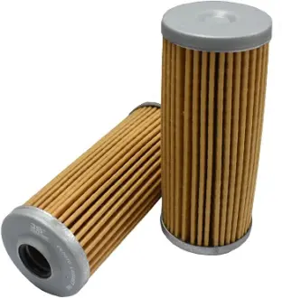 Fuel filter, cartridge. Фильтр топливный, вставка JS ASAKASHI FE0070