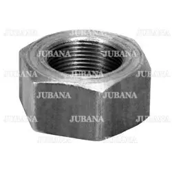 Гайка цапфы МТЗ (ТМ) JUBANA 503001087