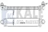 FORD Інтеркулер Mondeo IV, S-Max 2.5 06-, LANDROVER Discovery Sport, Freelander II, Range Rover Evoque KALE 344930 (фото 1)