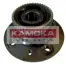 Комплект подшипника ступицы колеса KAMOKA 5500001 (фото 1)