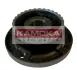 Комплект подшипника ступицы колеса KAMOKA 5500002 (фото 1)